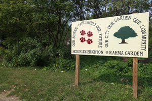 Community gardens have offered gardeners a sense of community throughout the pandemic and provided Syracuse residents access to healthy, free food. 
