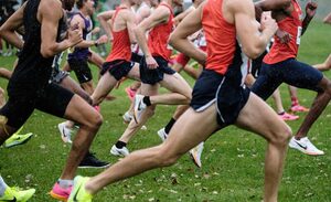 Syracuse cross country and track and field announced that it’s hired Shannon Malone as an assistant coach, specializing in coaching distance runners.